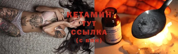 молекула духа Ладушкин