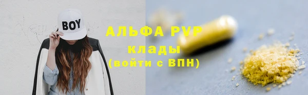 молекула духа Ладушкин