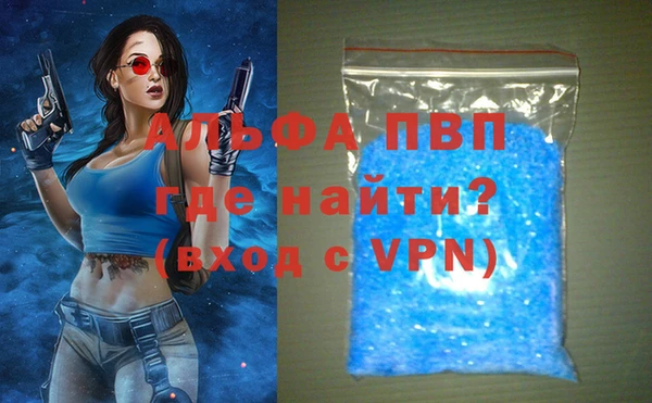 молекула духа Ладушкин