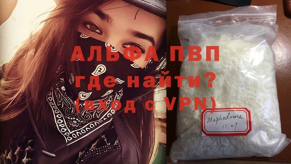 молекула духа Ладушкин