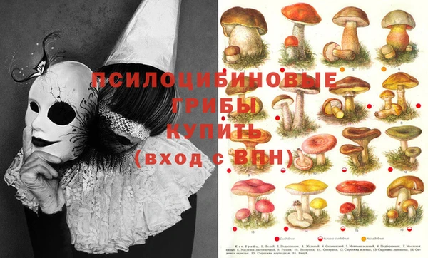 кокаин колумбия Лиски