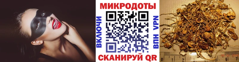Купить где  Феодосия  Псилоцибиновые грибы Psilocybe 
