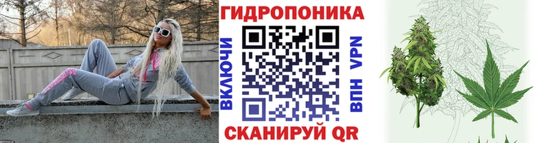 Купить где  Феодосия  Бошки Шишки Amnesia 